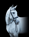 noirfullbody1 (1).webp