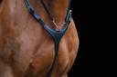 collierchassenoir1 (1).webp