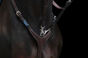collierchassehavane3 (2).webp