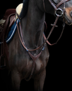 ikonicbriderie-7.webp