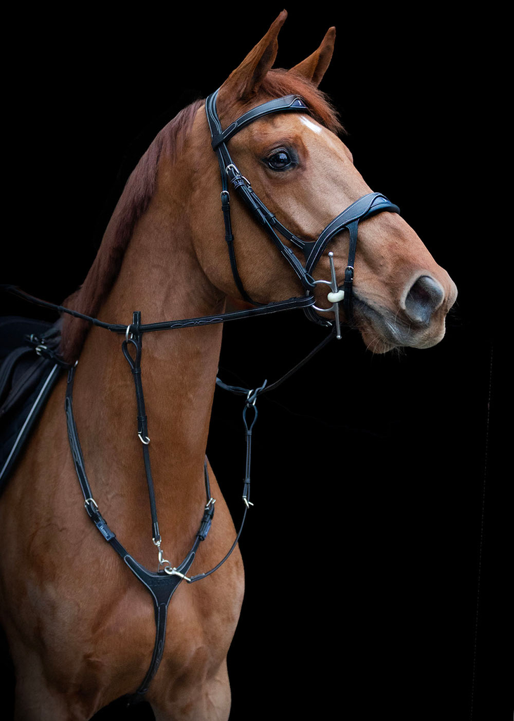 collierchassenoir3 (4).webp