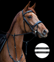 Reins (4).webp