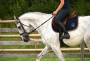 Image 116.webp