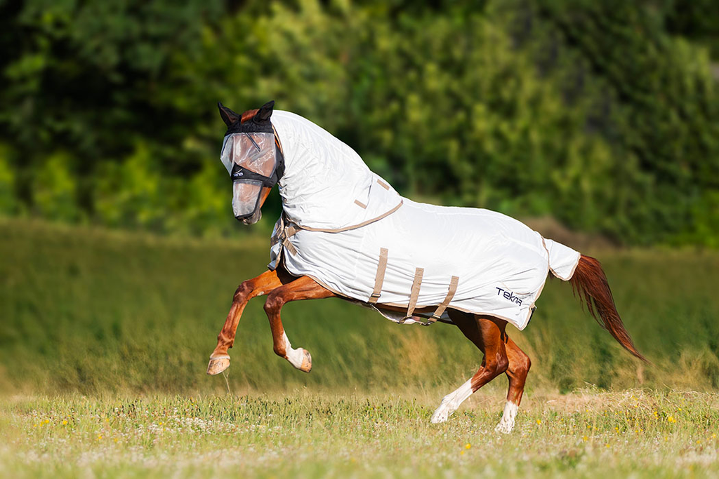 TEK-FLY-RUG-5.webp