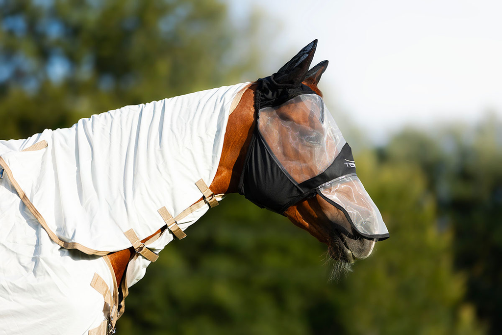 TEK-FLY-RUG-1.webp