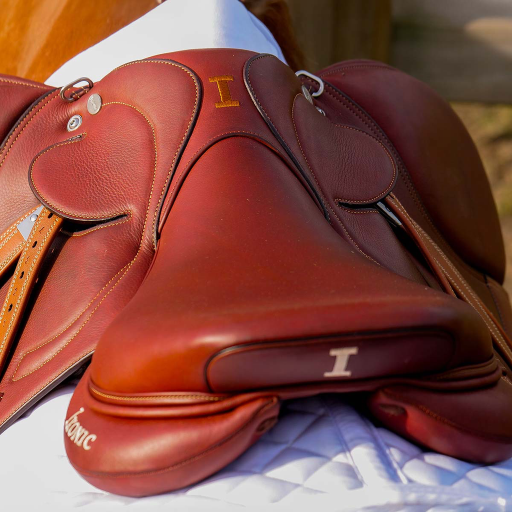 [JEL04] Elite All In Comfort Jumping Saddle