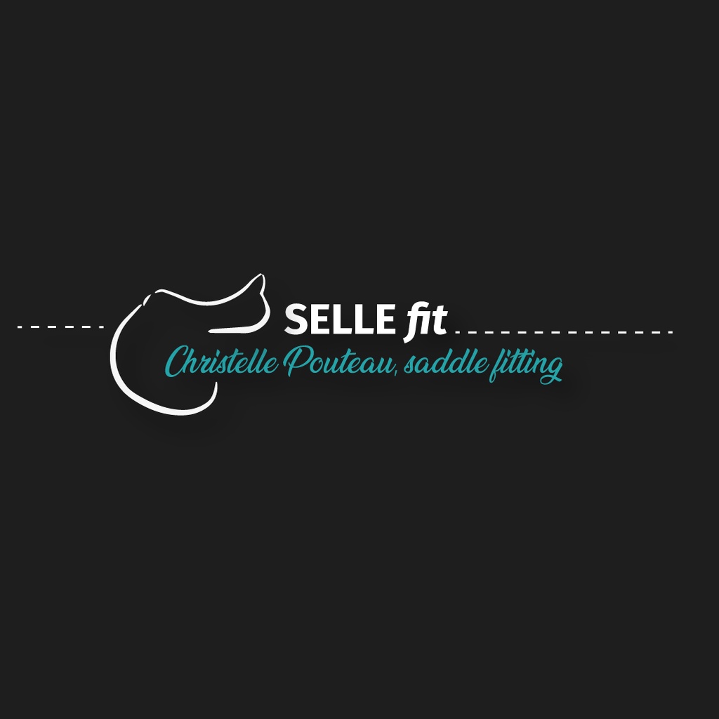 Sellerie Cp Sarl