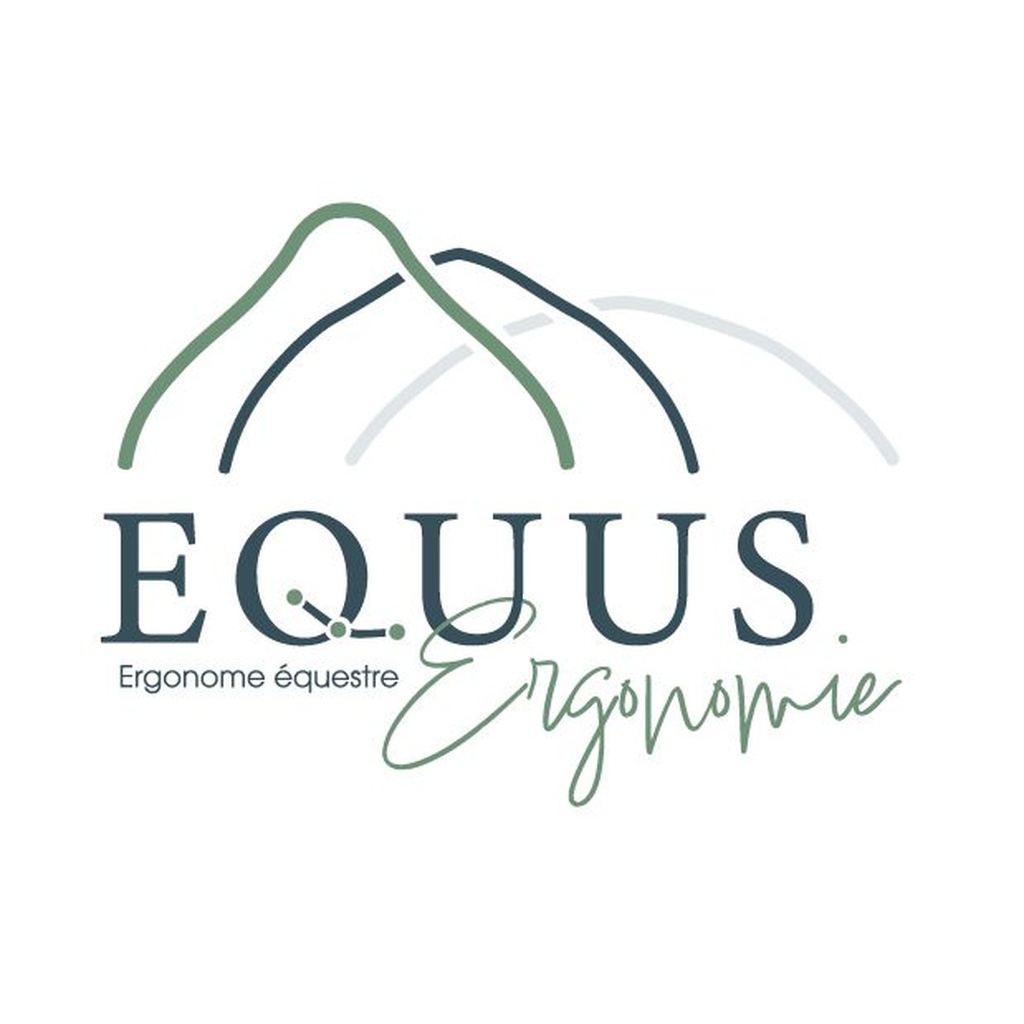 Equus Ergonomie