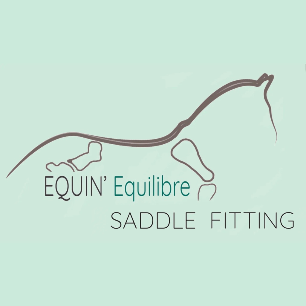 Equin'Equilibre