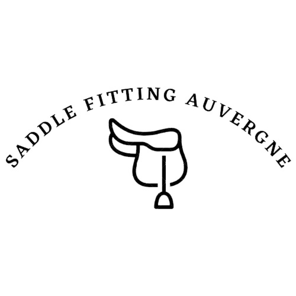 Saddle Fitting Auvergne