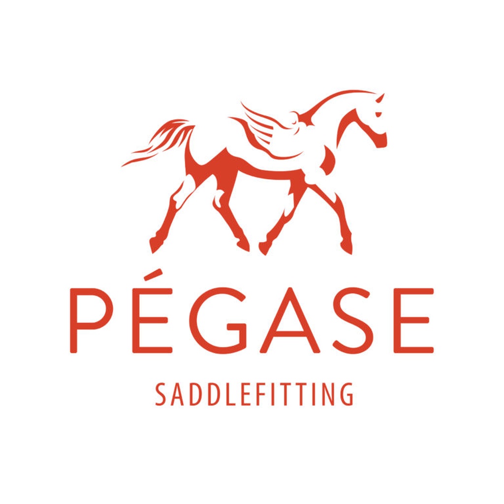 Pégase Saddle Fitting