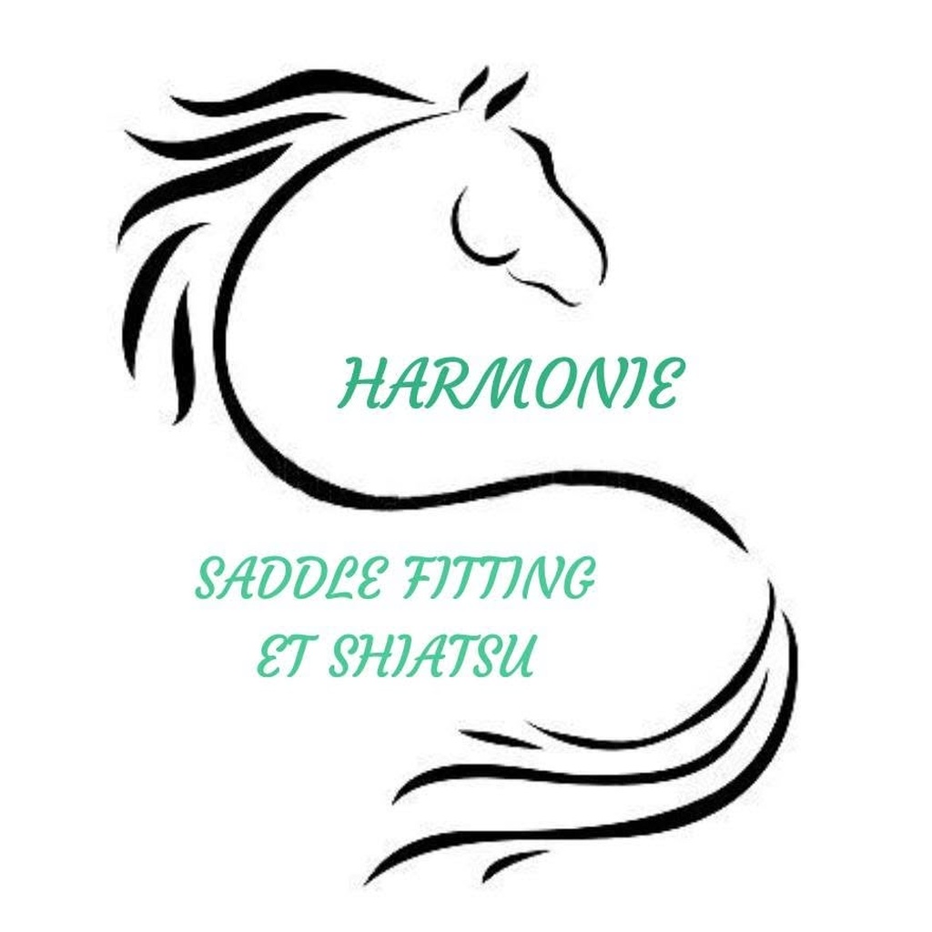 Harmonie Saddle Fitting