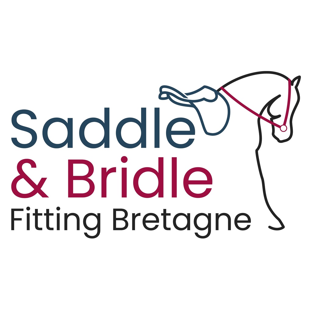 Saddle Fitting Bretagne