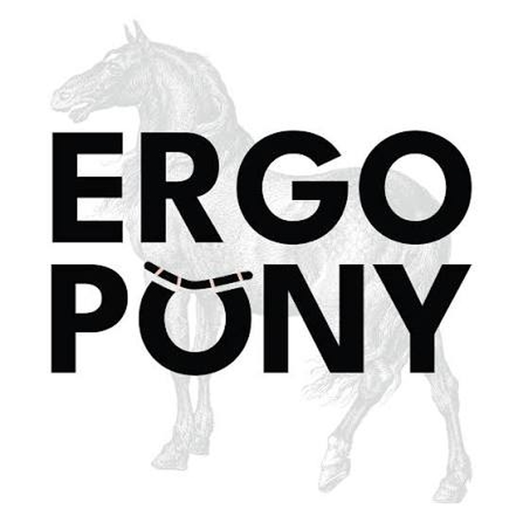 Ergopony