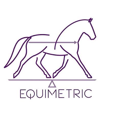 Equimetric