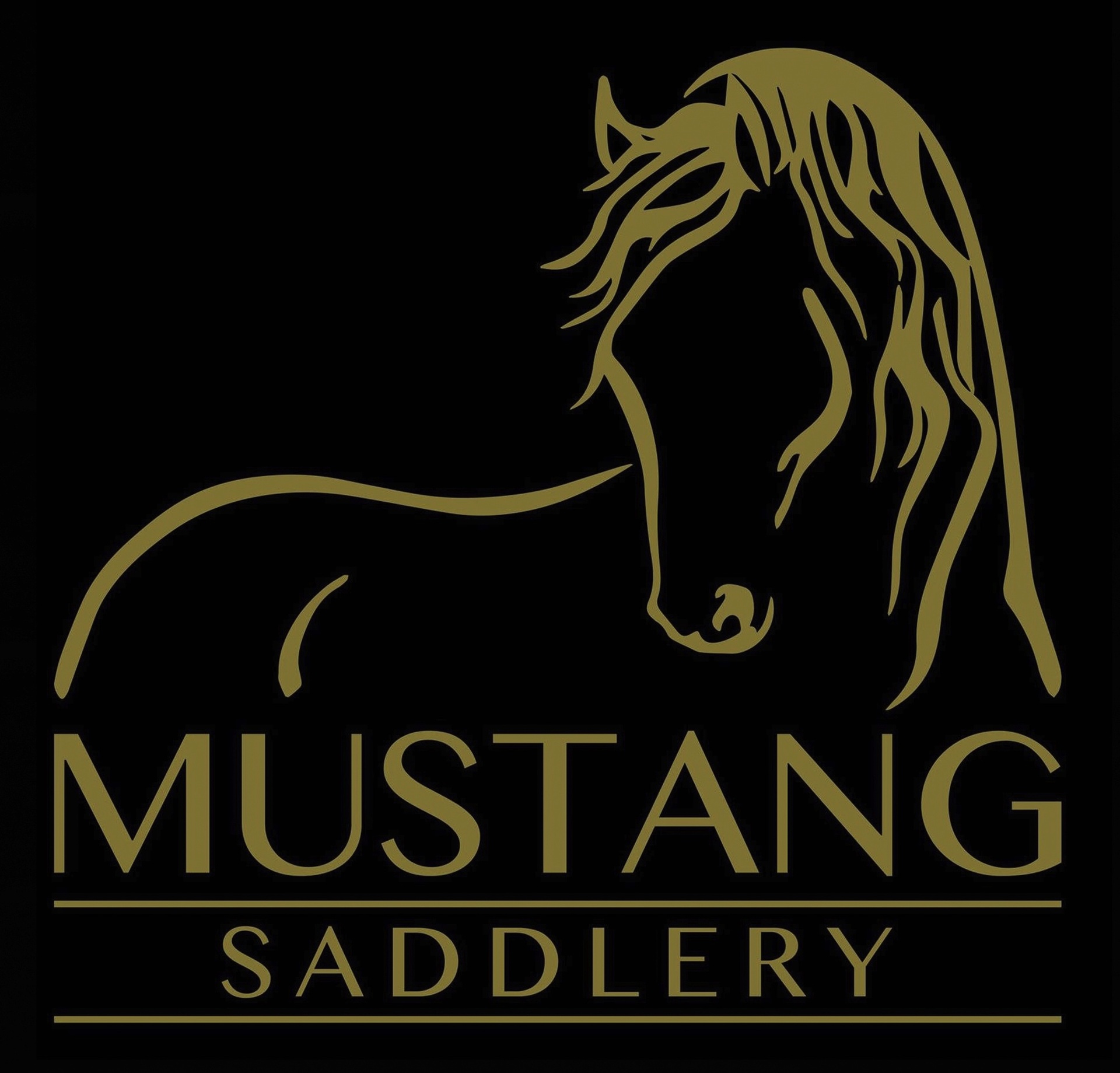 Dl Saddlery AB