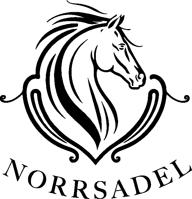 Norrsadel AB