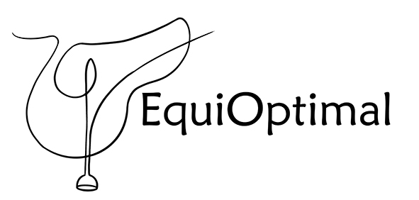 Lj Equioptimal