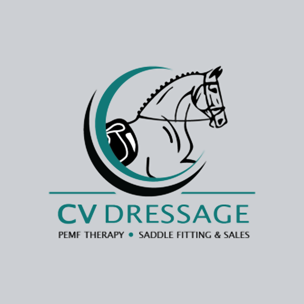 CV Saddle Fitting